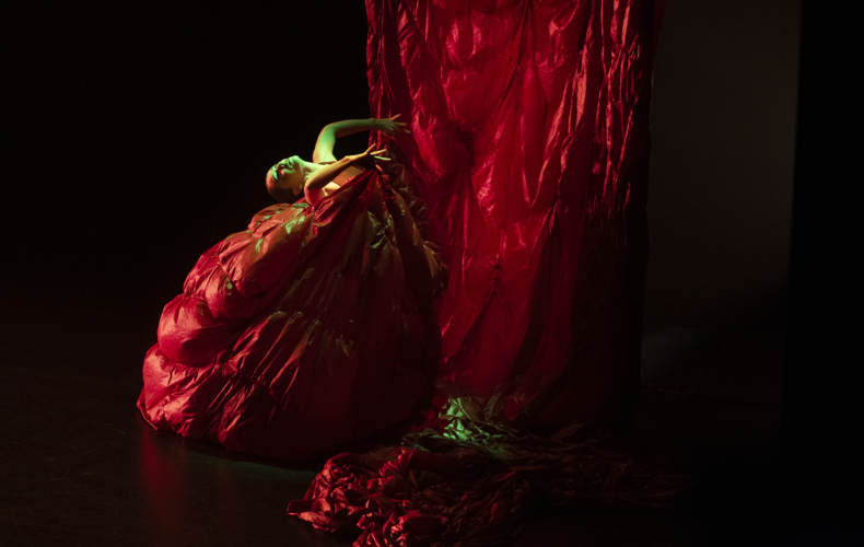 Après vous madame de Paula Comitre @ Laura León