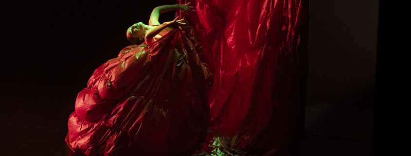 Après vous madame de Paula Comitre @ Laura León