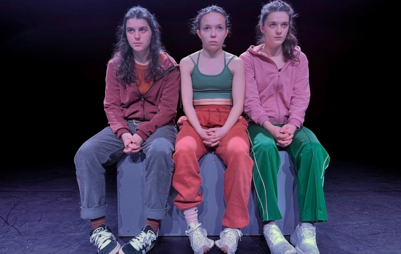 La peau des autres par la Cie Acrobatica Machina