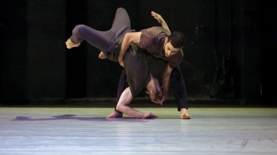 Nature of a Fall de Adi Boutrous