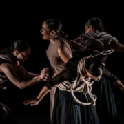 Parcas. La voz, el ojo, la carne.