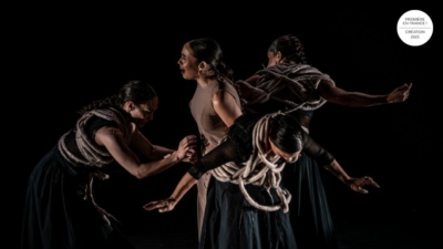 Parcas. La voz, el ojo, la carne.