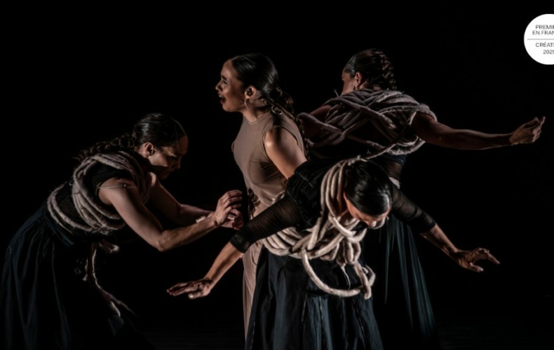 Parcas. La voz, el ojo, la carne.