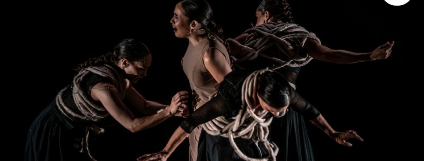 Parcas. La voz, el ojo, la carne.