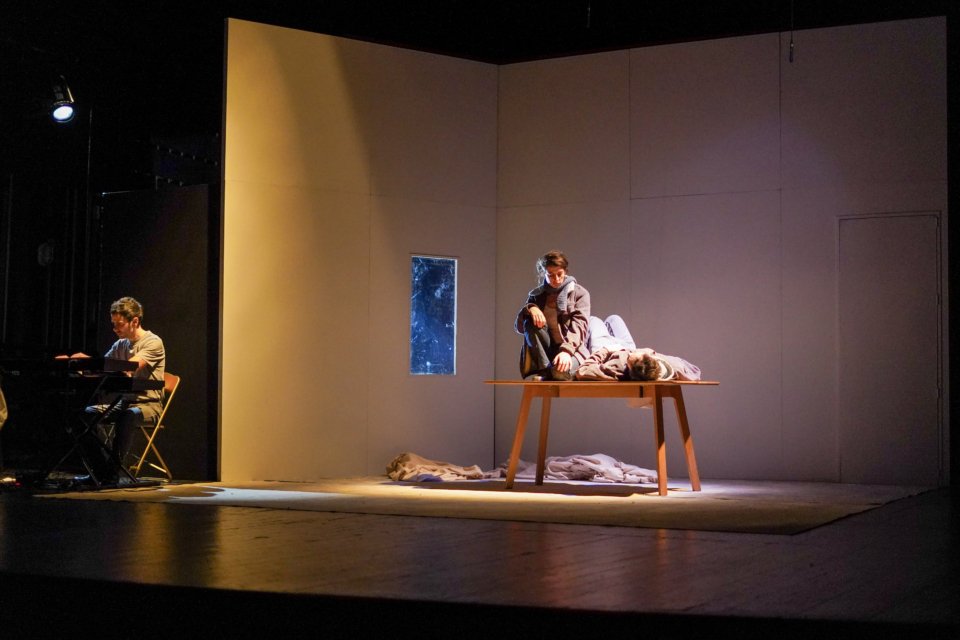 Pour la consolation de Pierre Bidard et Iris Pucciarelli