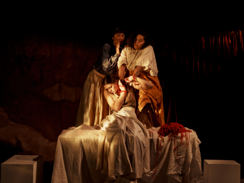 Aux suivantes ! de Juliette Steiner