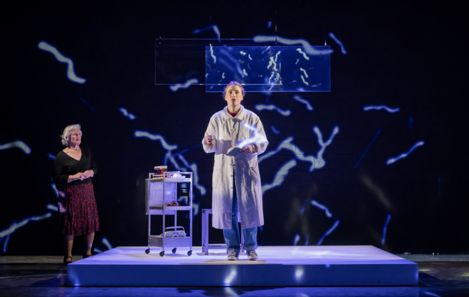 Marie-Christine Barrault dans La Découvreuse oubliée d'Élisabeth Bouchaud à la Reine Blance