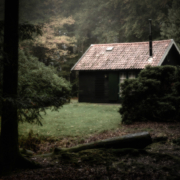Anne Alvaro et François Cervantes dans La maison forestière photo Sjo