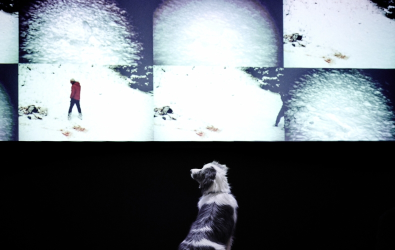 Judith Zagury et le ShanjuLab créent In bocca al lupo