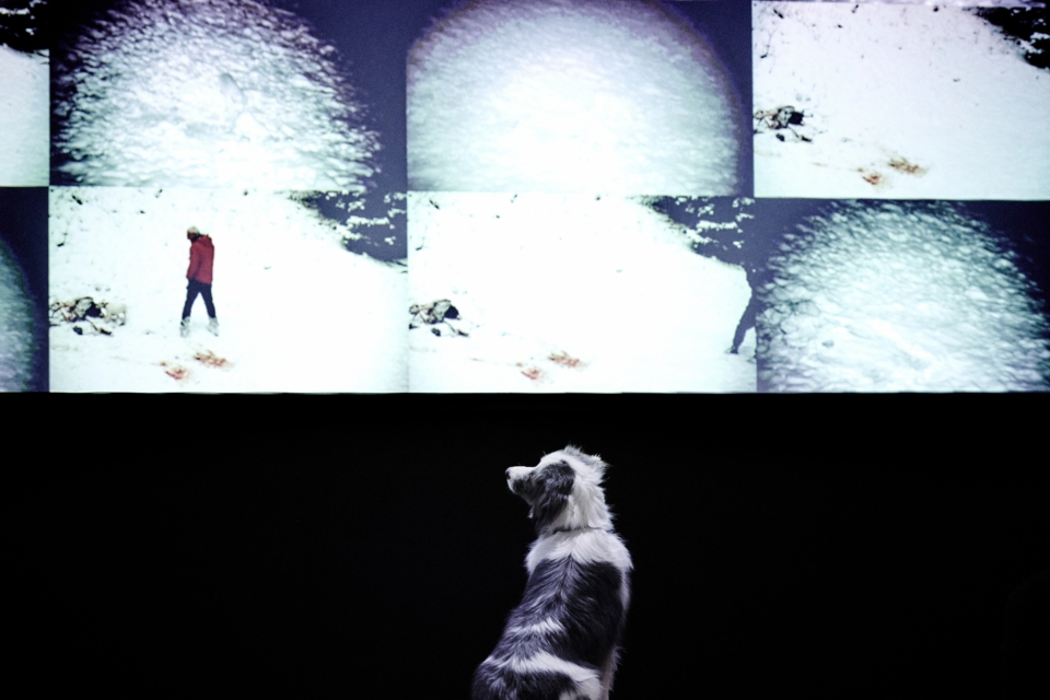 Judith Zagury et le ShanjuLab créent In bocca al lupo