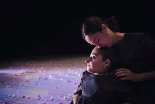 Sottobosco de Chiara Bersani