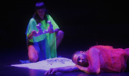 Agwuas de Marcela Santander Corvalán