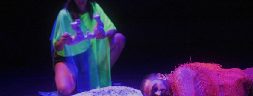 Agwuas de Marcela Santander Corvalán