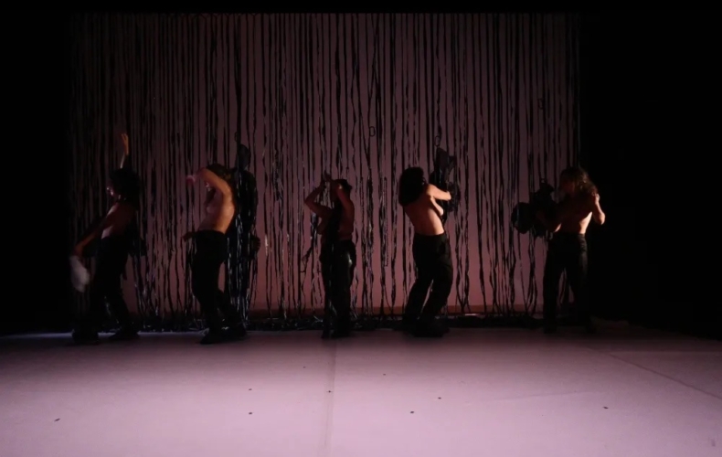 COQUELICOTS OU SHALL WE DANCE de Nancy Naous