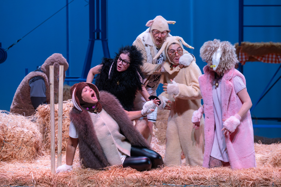 Foutue Bergerie de Pierre Guillois