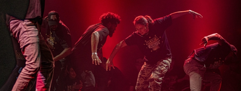MADROOTZ © Vincent Gerbert