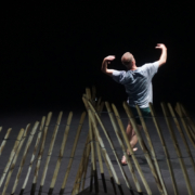 Troglodyte de Thomas Hauert photo Bert Van Dijck