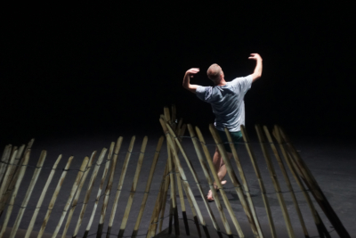 Troglodyte de Thomas Hauert photo Bert Van Dijck