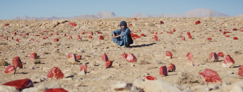Ce que le ciel ne sait pas photo Feda Wardak