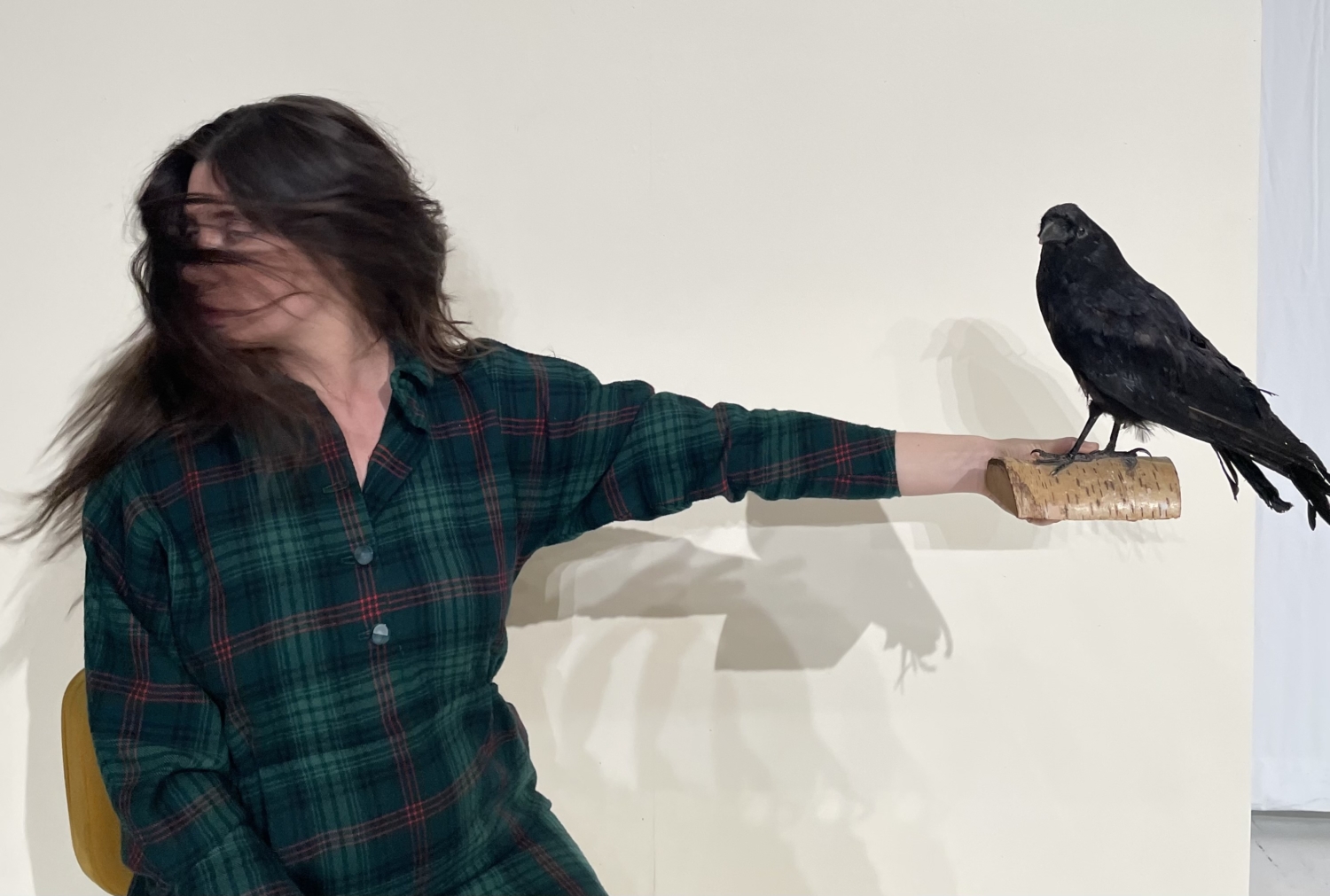 monster parade de Nathalie Béasse