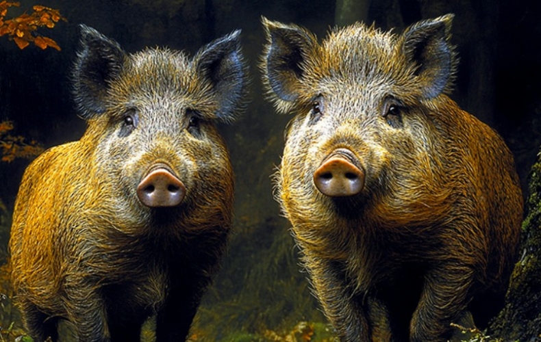 Thomas Blanchard et Olivier Martin-Salvan dans Les Gaulois de Marion Aubert