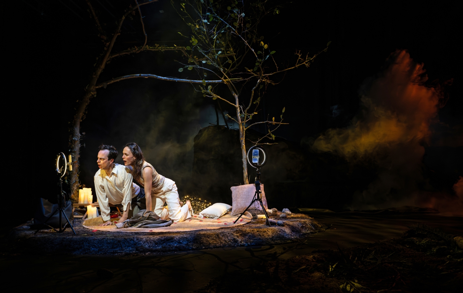 Timber de Still Life