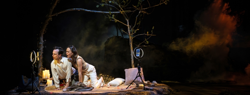 Timber de Still Life