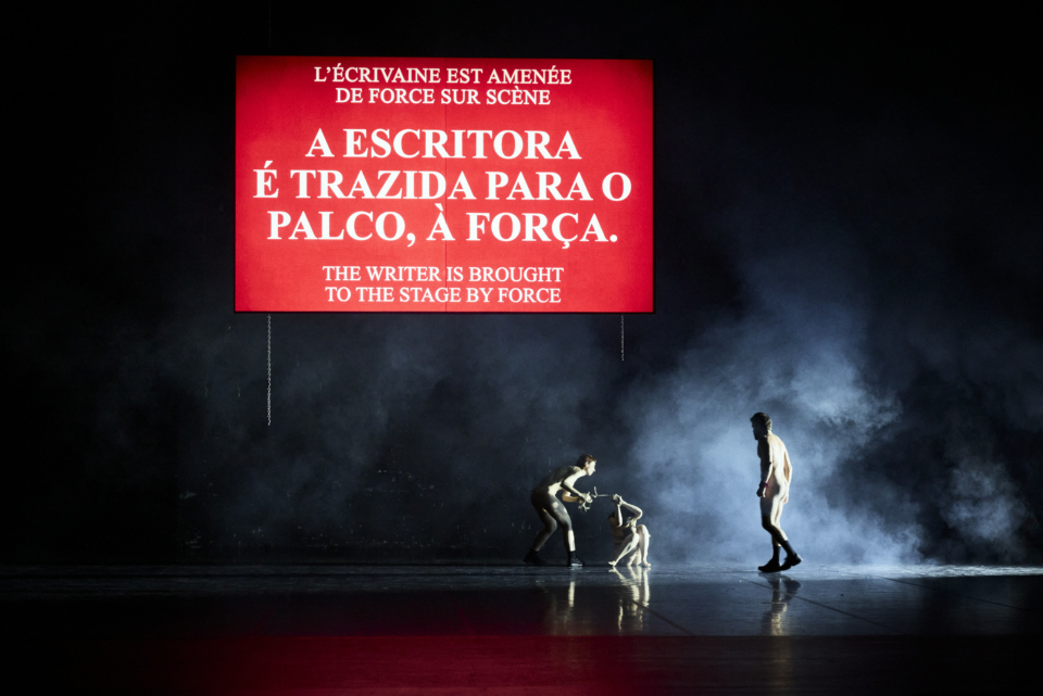 Uma Luz Cordial / Capítulo III da Trilogia Cadela Força de Carolina Bianchi