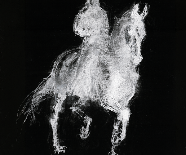 Tombeau pour un cheval d'orgueil l'hommage de Bartabas à son cheval Tzar